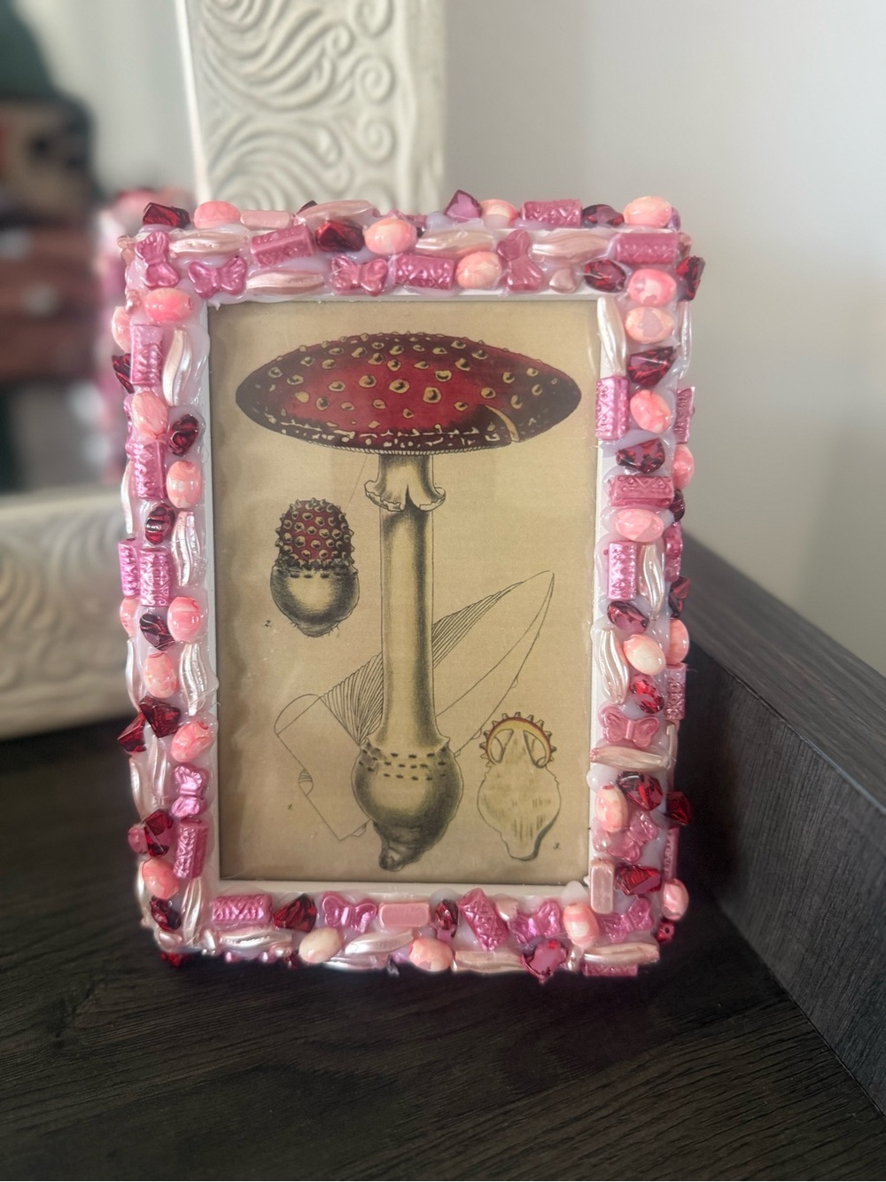 Home Accents Pink Beaded Decorative Picture Frame - Mycology Mushroom Art Decor